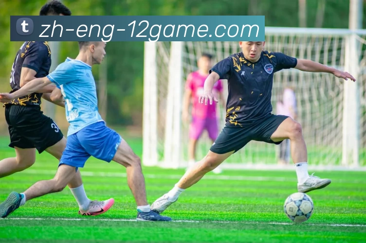 多媒体互动体验